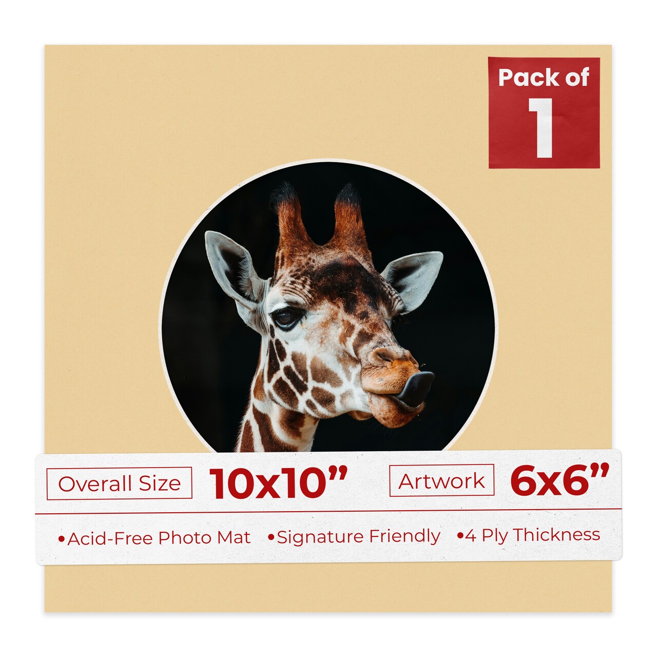 Beige Mat Board for 10x10 Frames - Circle Opening for 6x6 Photos